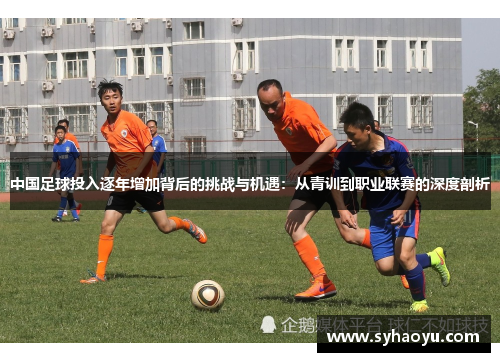 中国足球投入逐年增加背后的挑战与机遇：从青训到职业联赛的深度剖析